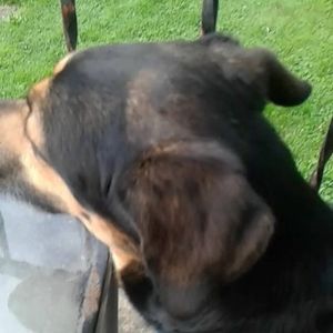 Meet your Posher, Edward j